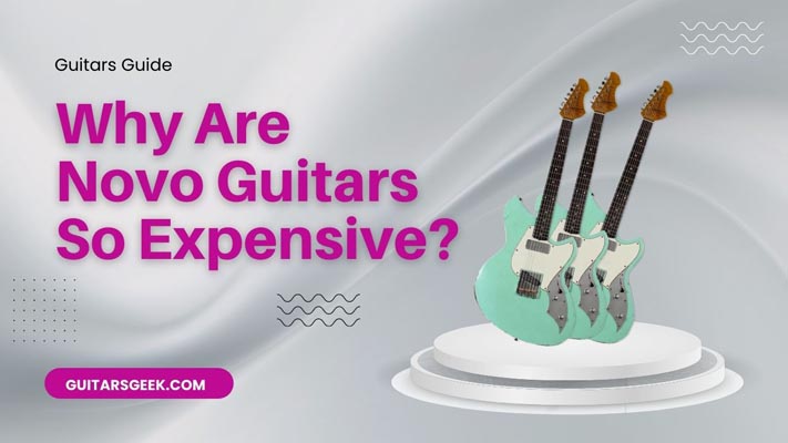 Why Are Novo Guitars So Expensive? Guide 2024